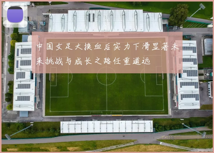 中国女足大换血后实力下滑显著未来挑战与成长之路任重道远